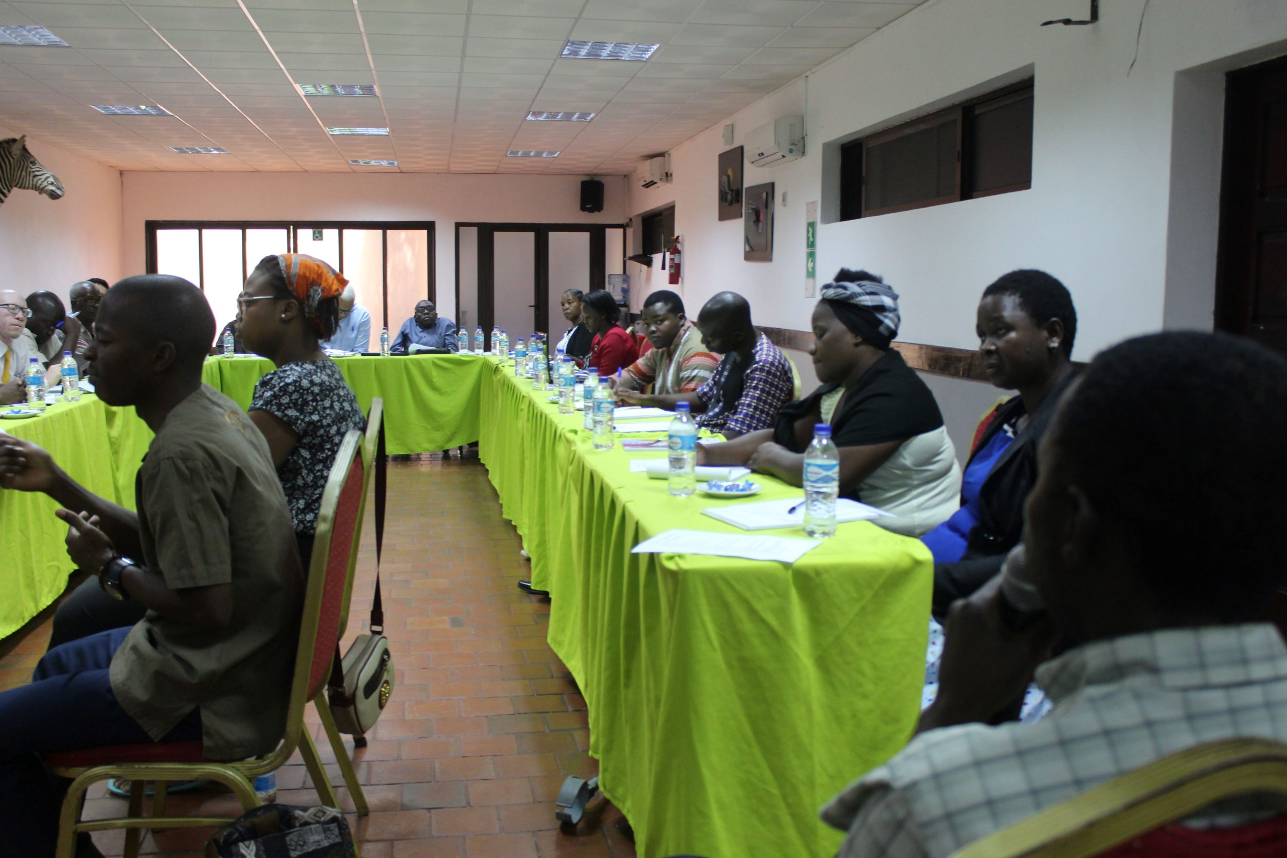 Participants at the UNCRPD monitoring training workshop in Mozambique.